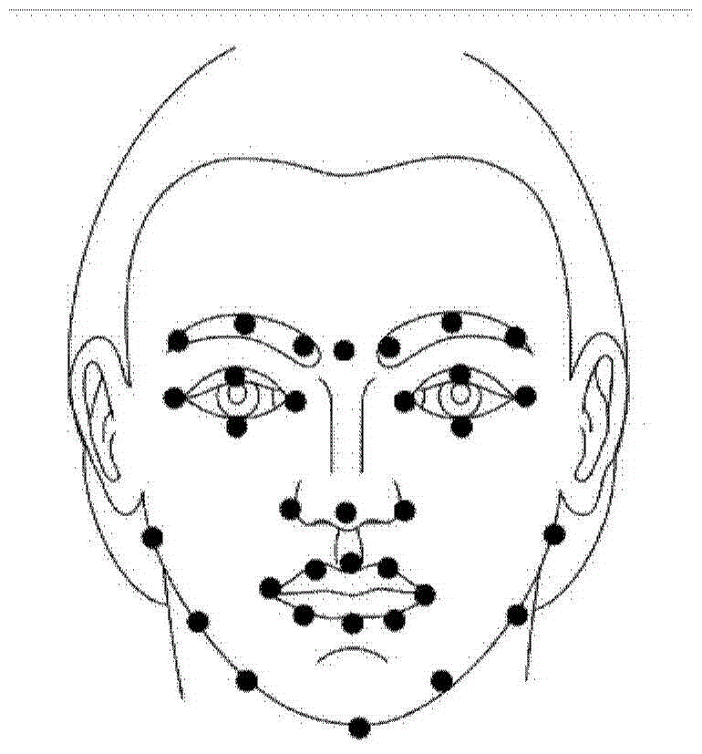 Expression cloning method and device capable of realizing real-time interaction with virtual character