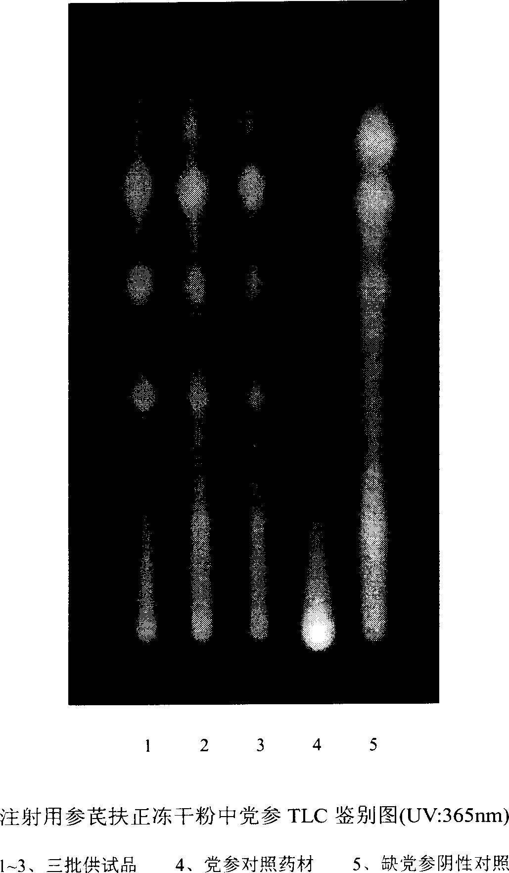 Method for identifying codonopsis pilosula and preparation containing codonopsis pilosula