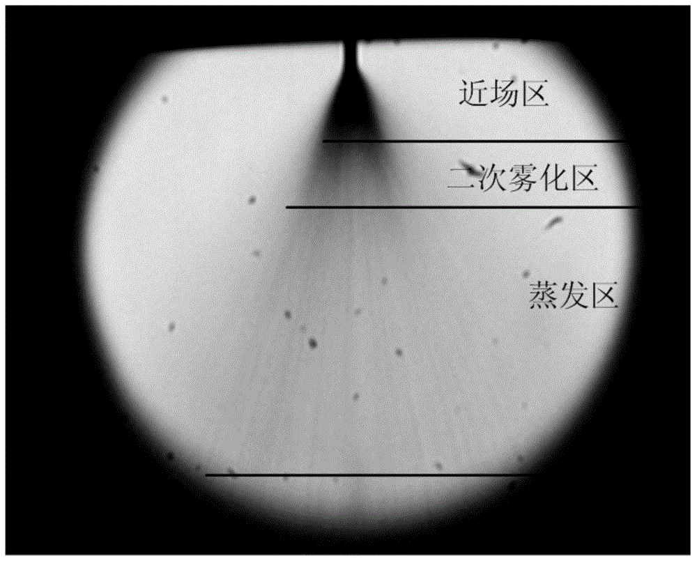 Full-field injection atomization measurement device and method based on photon time domain filter technique