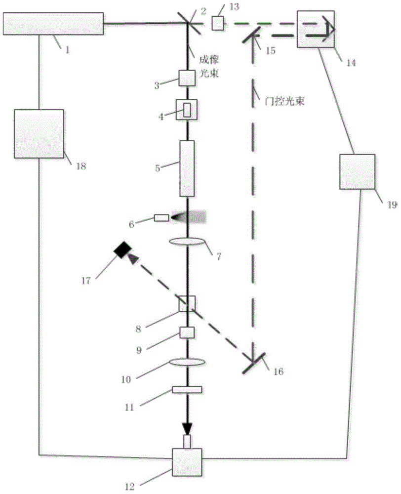 Full-field injection atomization measurement device and method based on photon time domain filter technique