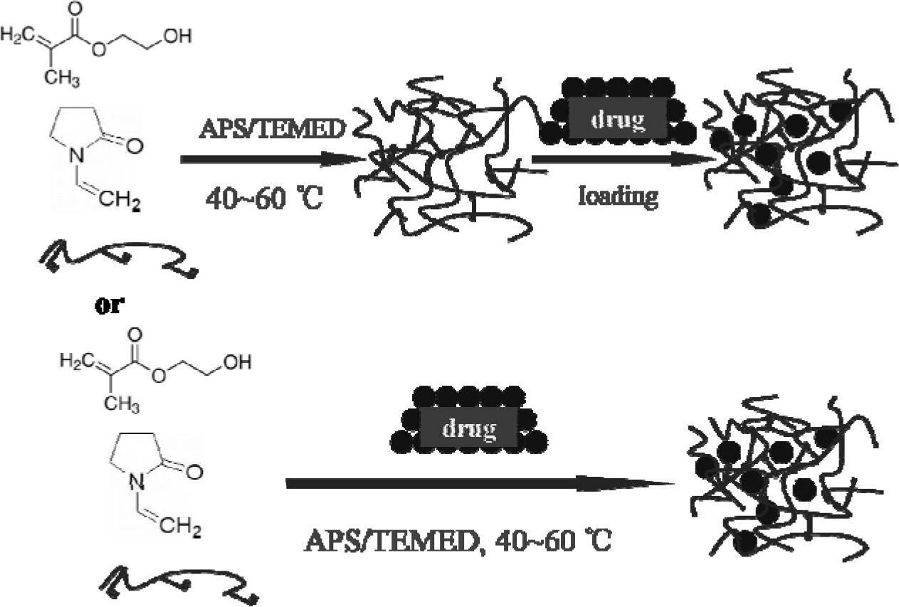 Hydrogel corneal contact lenses drug carrier