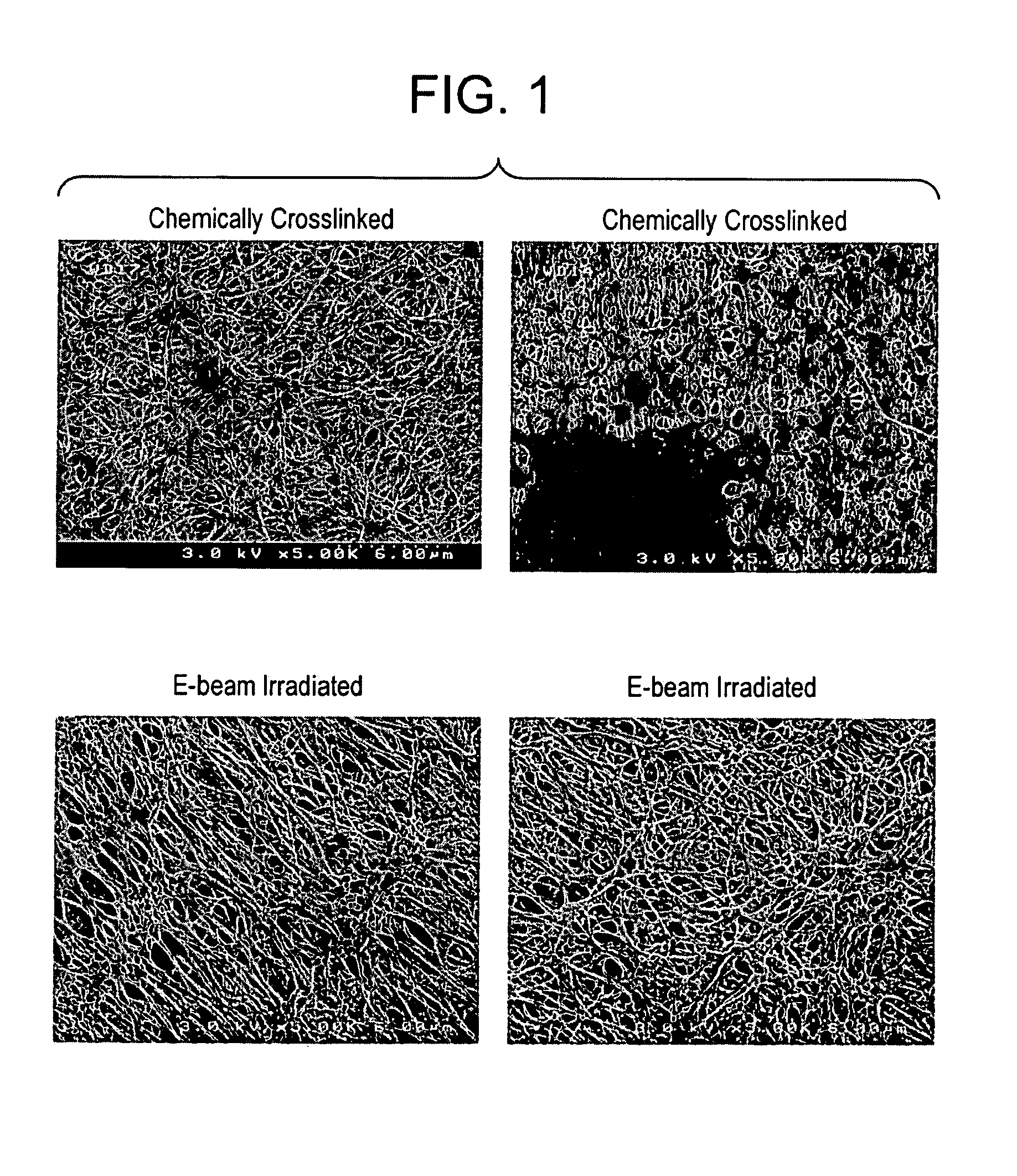 Processes for forming permanent hydrophilic porous coatings onto a substrate, and porous membranes thereof