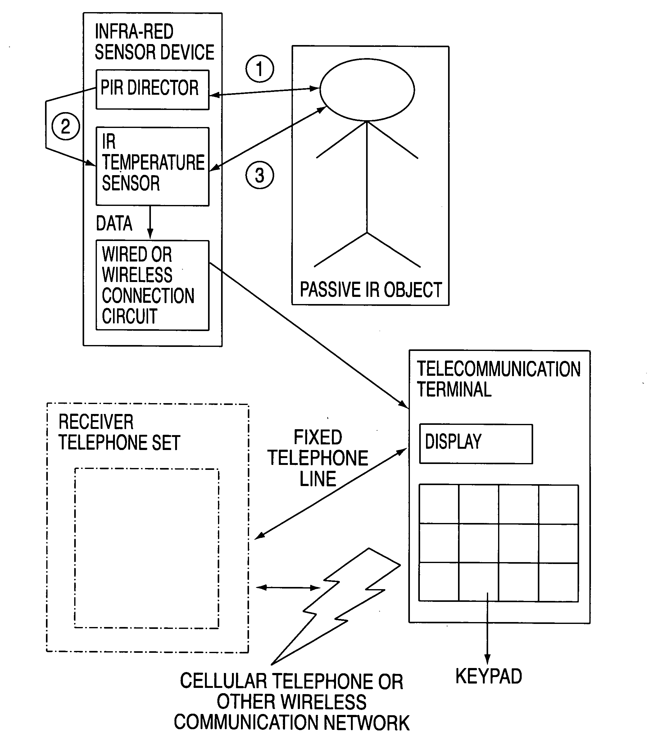 Remote body temperature monitoring device