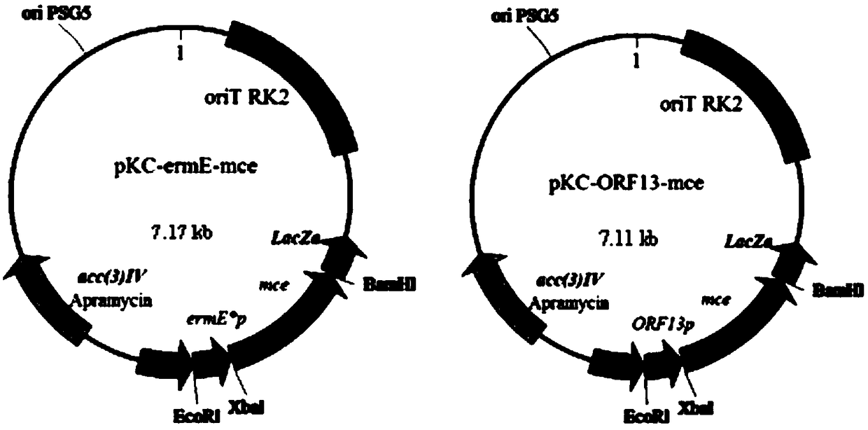 Method for improving yield of avermectin and producing strain