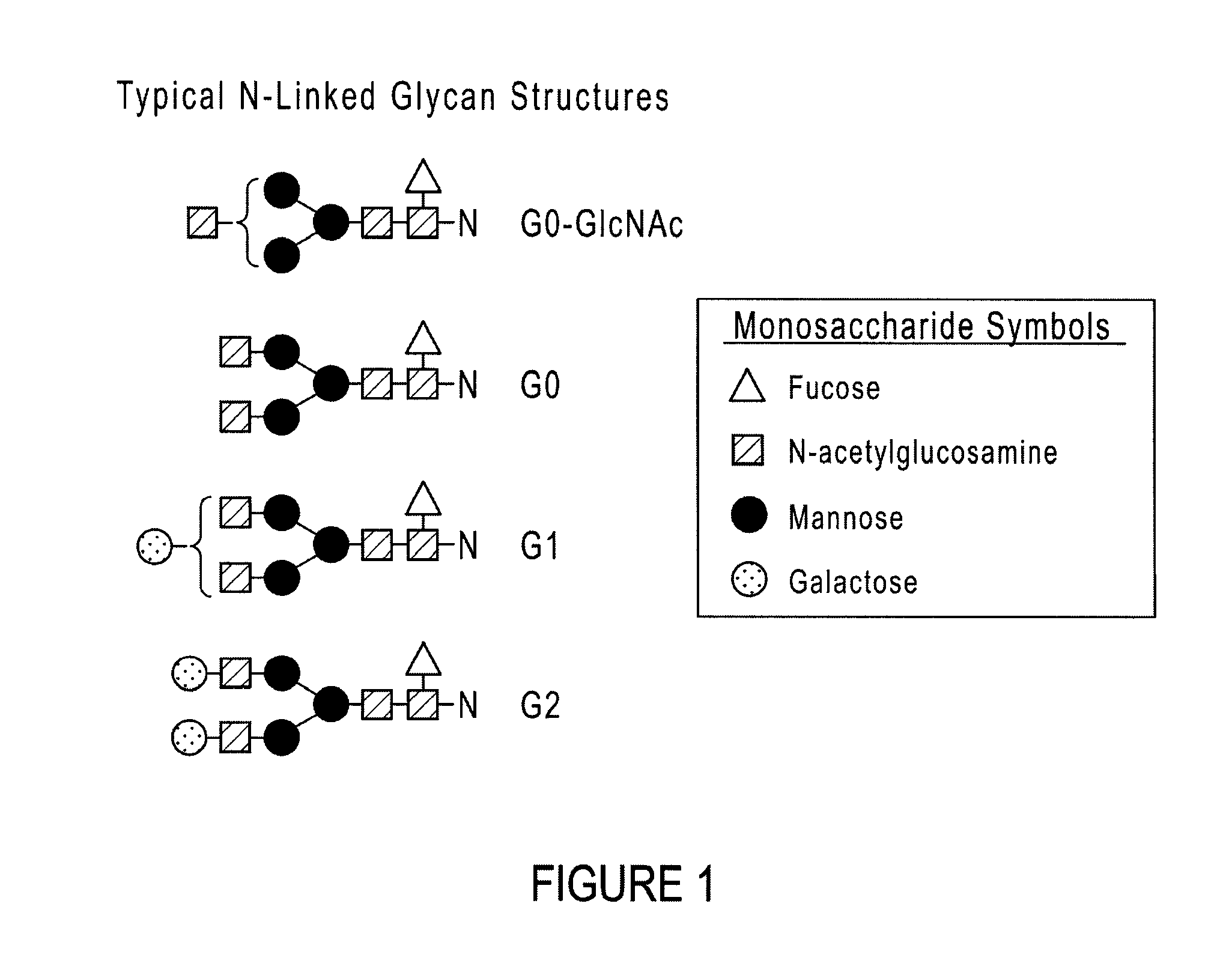 Compositions and methods for producing glycoproteins