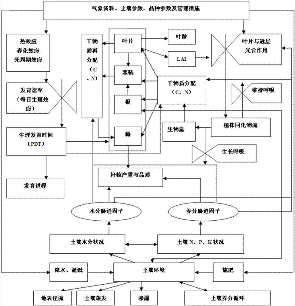 Wheat growth period characteristic parameter evaluation method based on R language