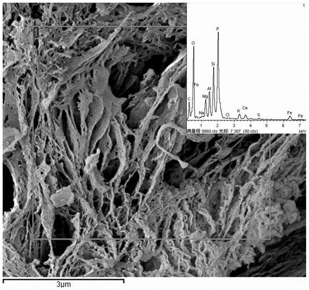 A kind of carbon nitride photocatalytic material and preparation method thereof