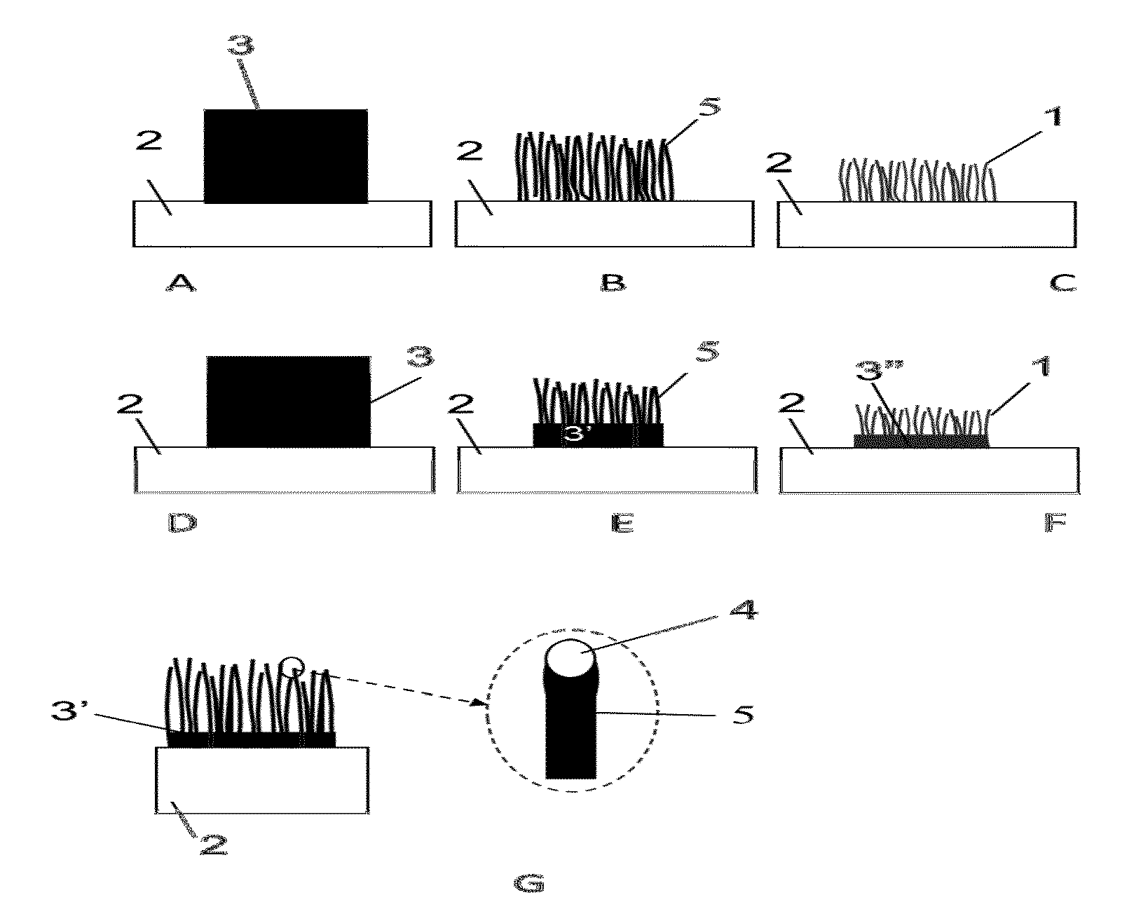 Hierarchical Carbon Nano and Micro Structures