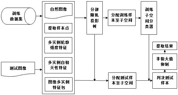 Local reflection symmetry axis extraction method in image based on multi-instance subspace learning