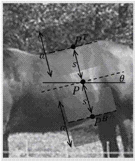 Local reflection symmetry axis extraction method in image based on multi-instance subspace learning