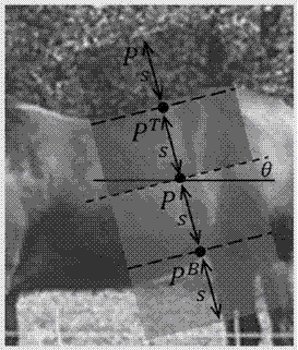 Local reflection symmetry axis extraction method in image based on multi-instance subspace learning