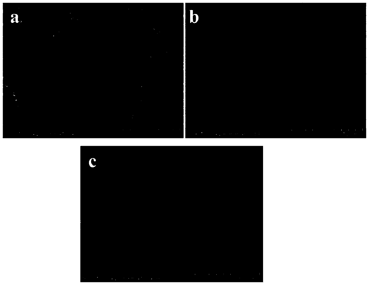 Tooth mineralization liquid and tooth mineralization method