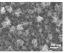 Ferronickel/carbon film-nickel integrated composite electrode and preparation method thereof