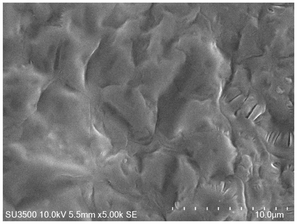 A self-healing solid polymer electrolyte for lithium battery and preparation method thereof