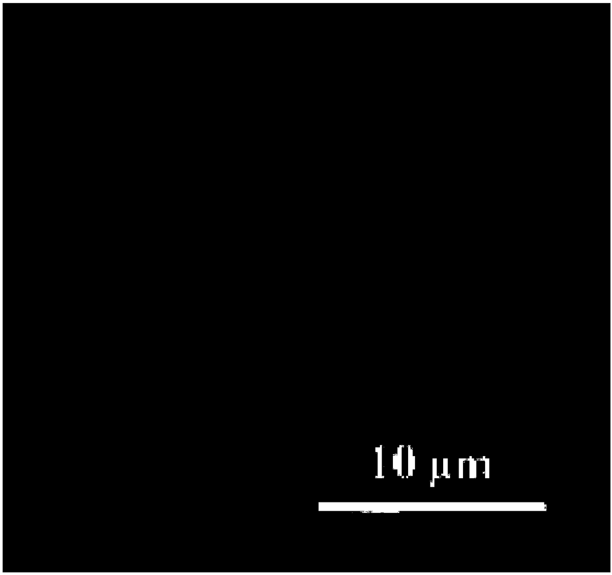 One-step adsorption method used for preparing protein microcapsules