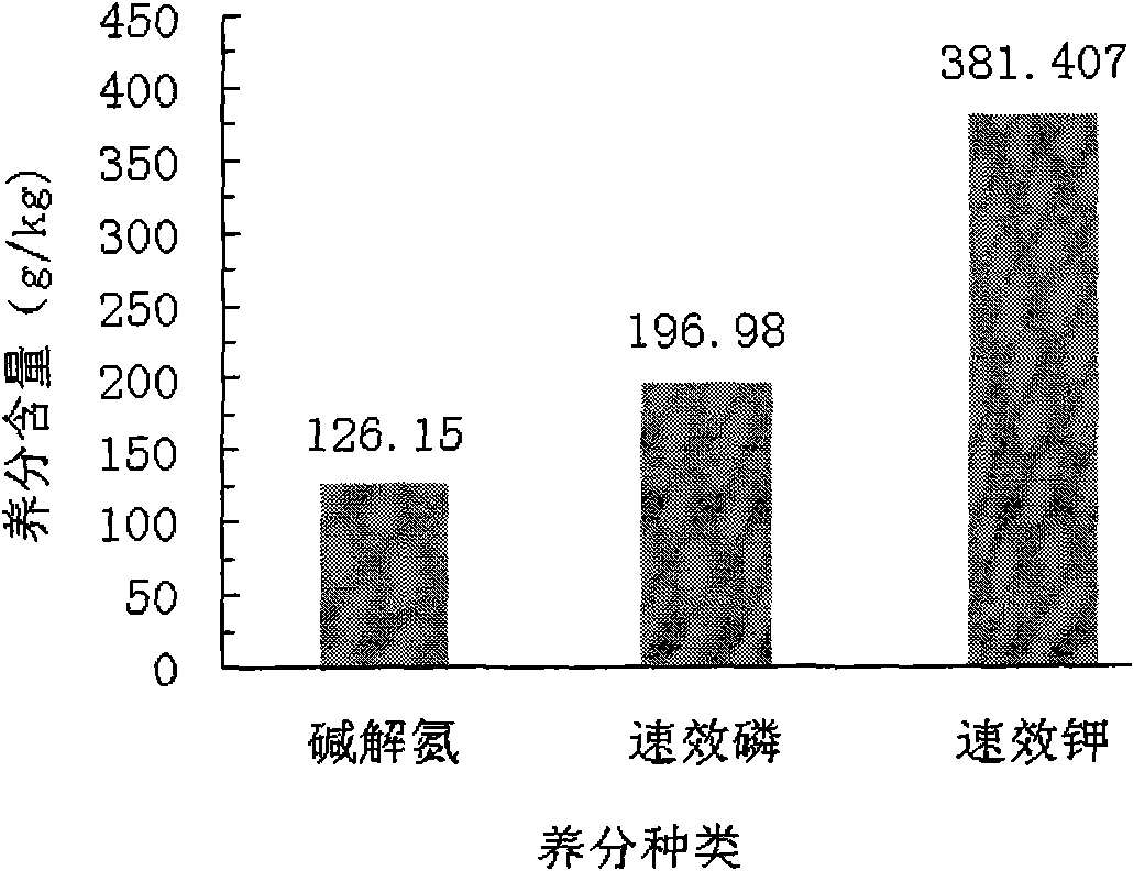 Special controlled release fertilizer for preventing and treating root diseases of hot peppers and preparation method of special controlled release fertilizer