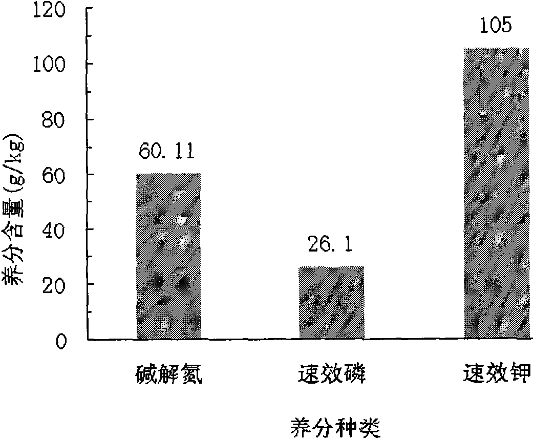 Special controlled release fertilizer for preventing and treating root diseases of hot peppers and preparation method of special controlled release fertilizer