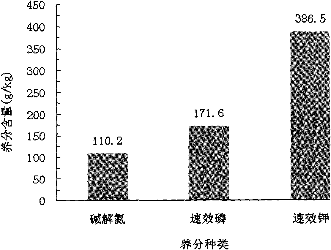 Special controlled release fertilizer for preventing and treating root diseases of hot peppers and preparation method of special controlled release fertilizer