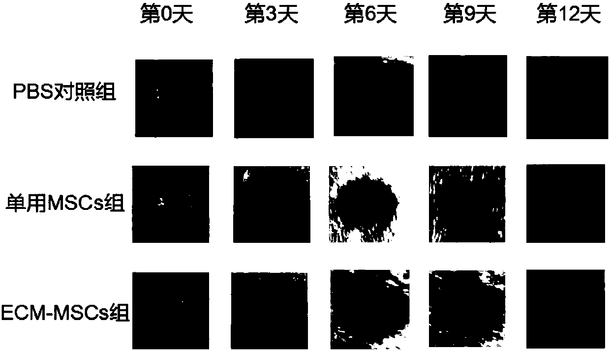 Preparation method for injection for treating diabetic wounds and product thereof