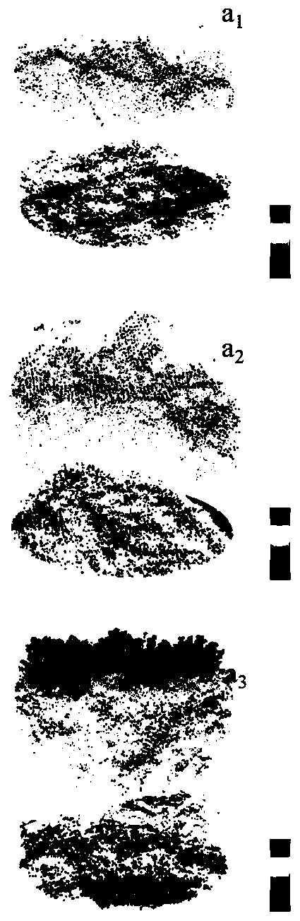 Method of Extracting Plantation Stand Structure Parameters Based on Aerial Photogrammetry Point Cloud