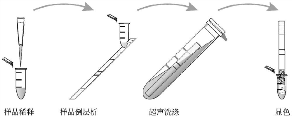 Kit and method for detecting myositis and myasthenia gravis autoantibodies in human body fluid