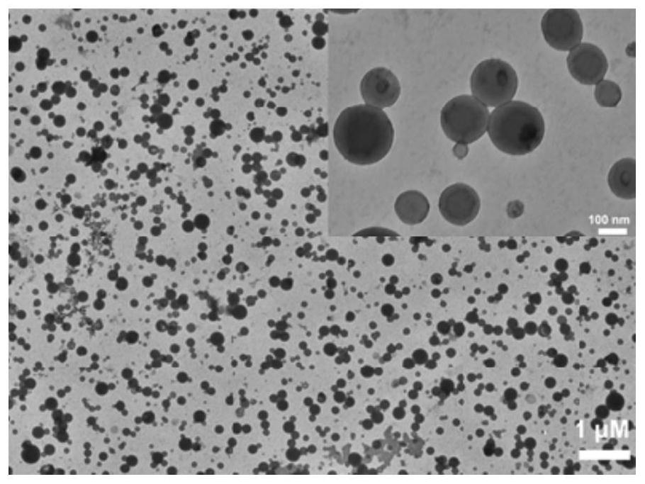 A kind of nano therapeutic agent and its preparation method and application