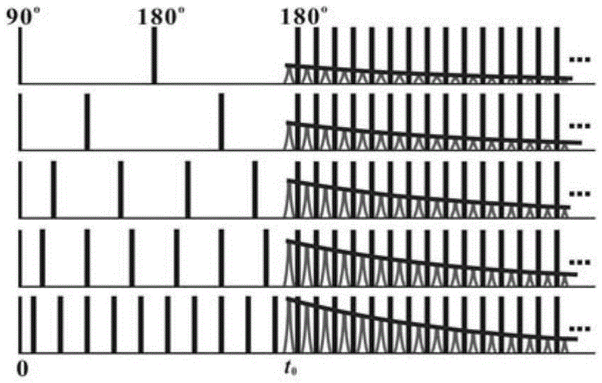 Adaptive method of improved cpmg sequence t2-g acquisition parameter t0