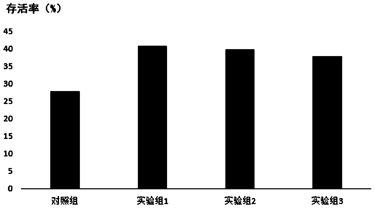 Fish meal-free litopenaeus vannamei feed containing clostridium ethanolum protein and preparation method of feed