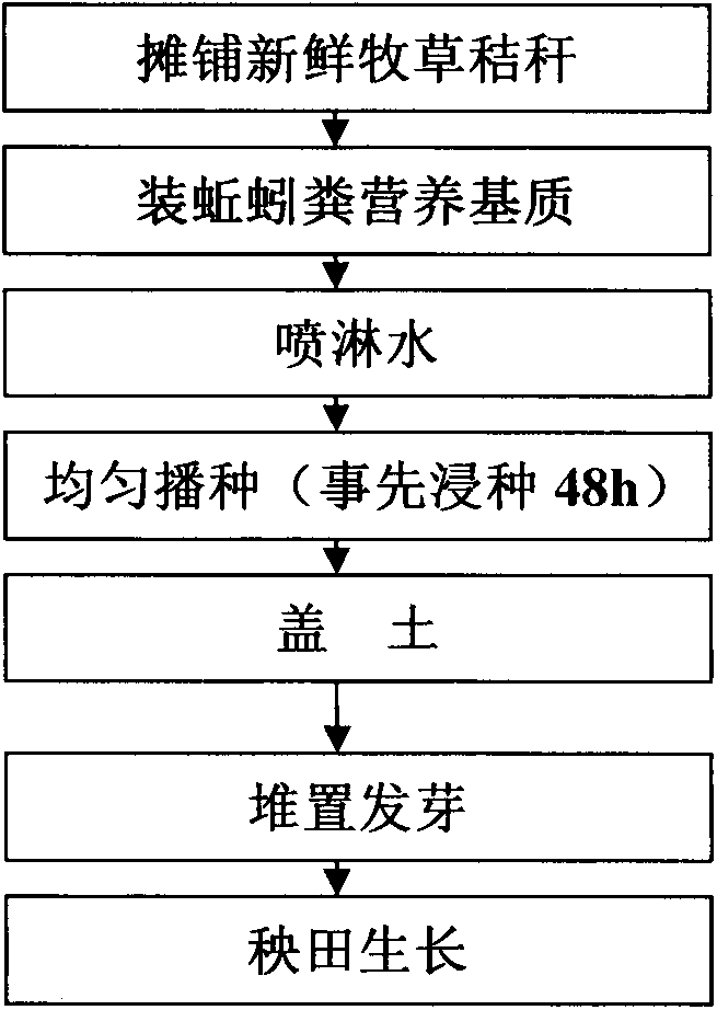 Novel machine seedling transplanting and seedling culture method