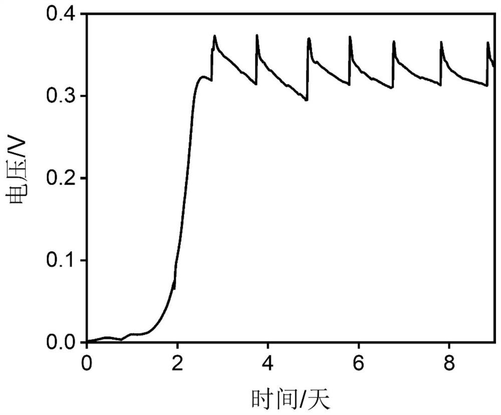 A bioelectrochemical method for real-time in situ detection of BOD in organic wastewater