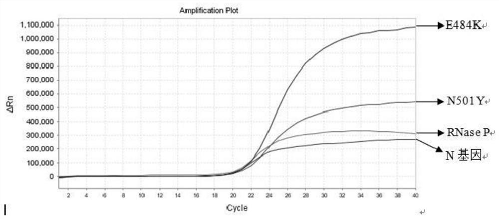 Nucleic acid composition, kit and method for simultaneously detecting multiple mutant strains of SARS-CoV-2