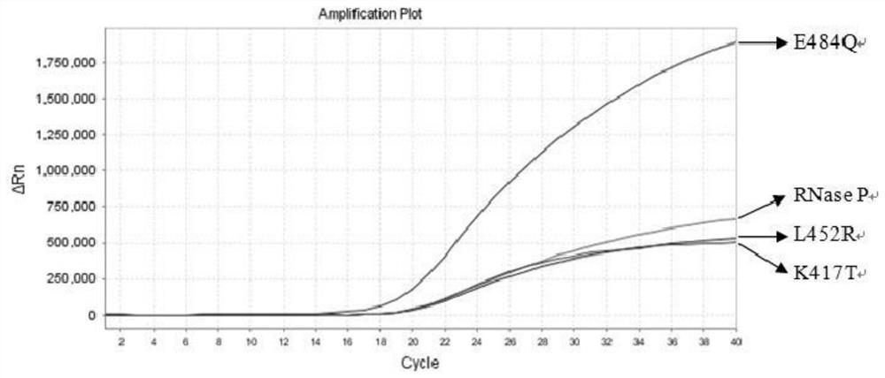 Nucleic acid composition, kit and method for simultaneously detecting multiple mutant strains of SARS-CoV-2