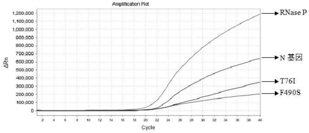 Nucleic acid composition, kit and method for simultaneously detecting multiple mutant strains of SARS-CoV-2