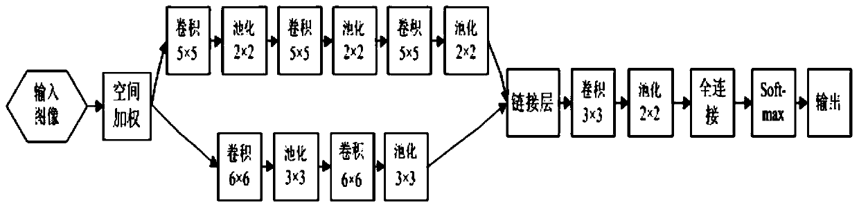 Polarized SAR image classification method based on dual-channel convolutional network