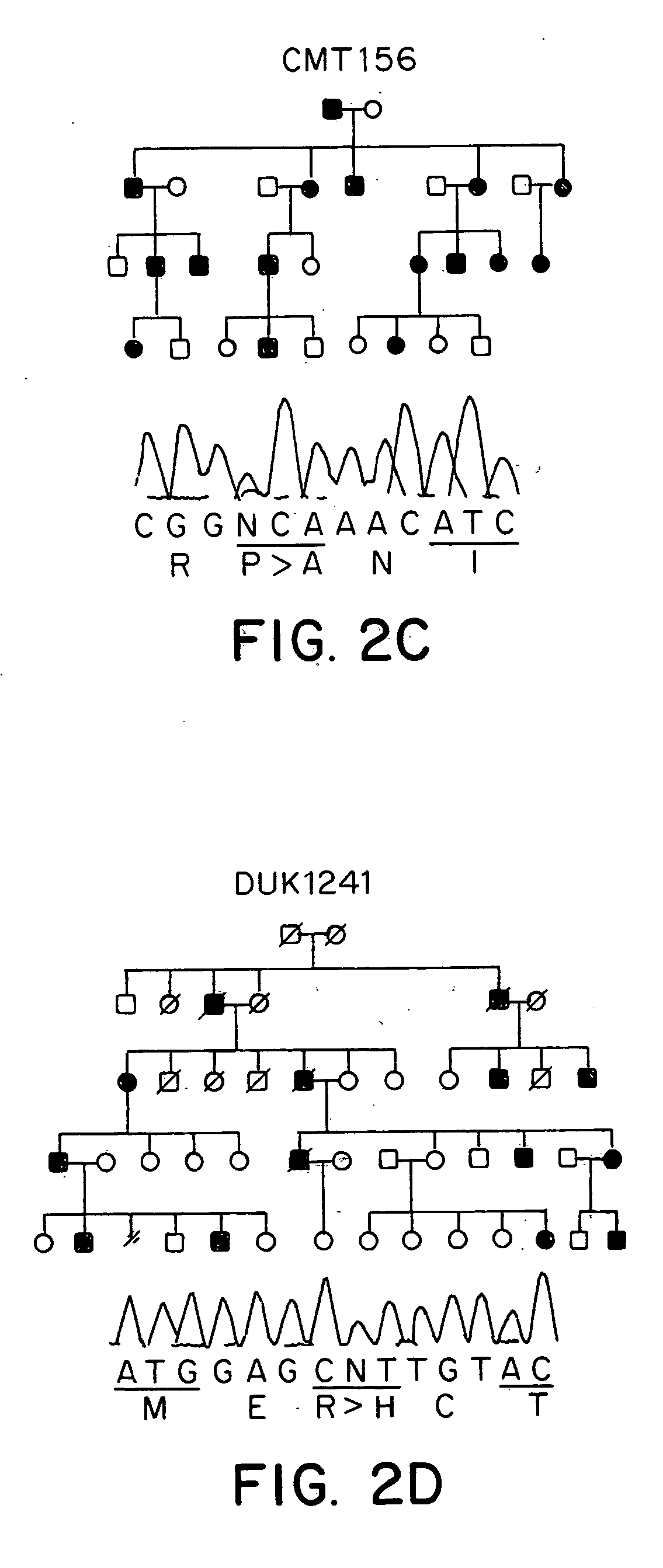 Methods of detecting Charcot-Marie Tooth disease type 2A