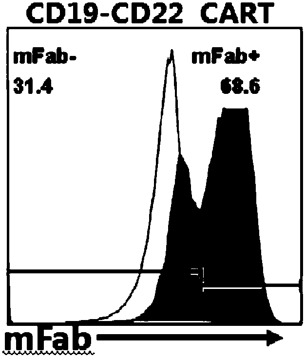 Target CD19 and CD22 chimeric antigen receptor and application thereof