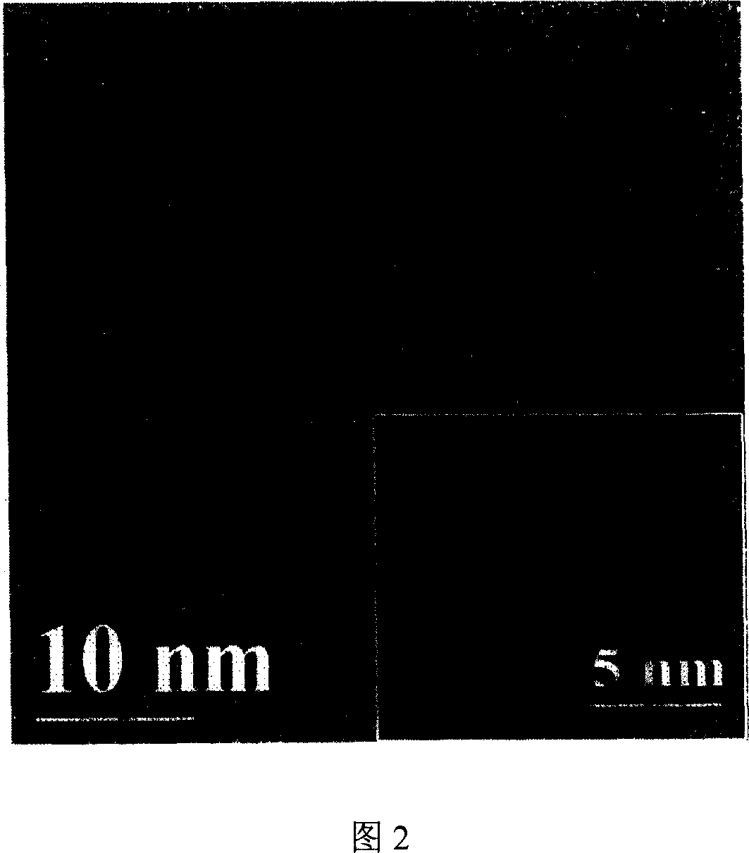 Process for preparing water soluble CdTe/CdS nuclear/shell type quantum point by microwave radiation reaction