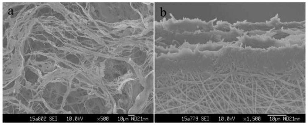 Decellularized small intestinal submucosa/polylactic acid-glycolic acid copolymer composite scaffold as well as preparation method and application thereof