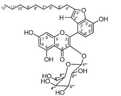 Application of Houttuynoid B in medicine for preventing and treating liver injury