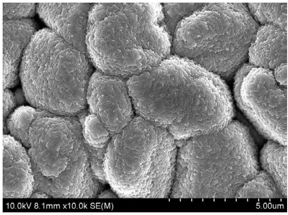 Preparation method of double-rare-earth-doped TiO2 nanotube ordered array