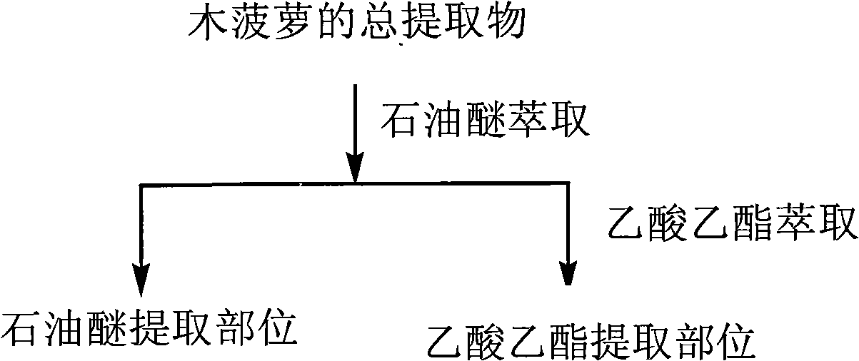 Artocarpus heterophyllus extract for treating cerebrovascular disease and preparation method thereof