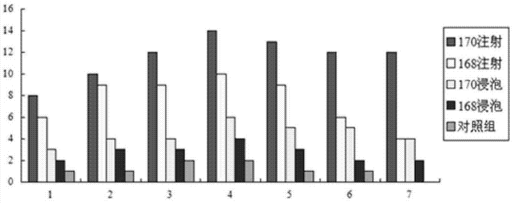 A live attenuated vaccine of fish gill rot pathogen Flavobacter johnii and its construction method