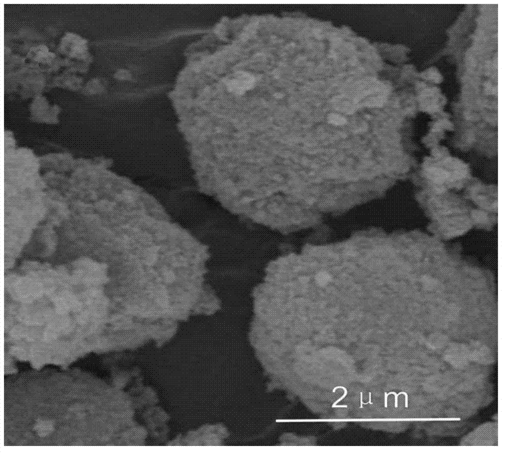 Preparation method of yeast microsphere magnetic composite material surface imprinted adsorbent