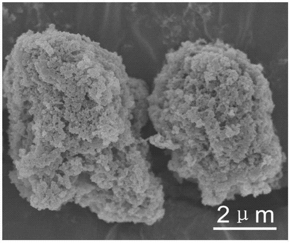 Preparation method of yeast microsphere magnetic composite material surface imprinted adsorbent