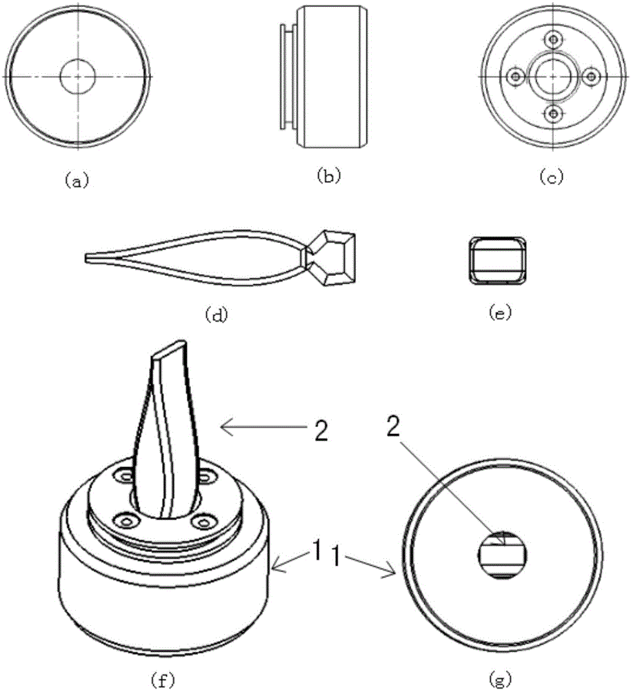 Ultrasonic-cavitation-injury-based method for establishing atherosclerotic-plaque animal model and blood vessel endothelial injury device