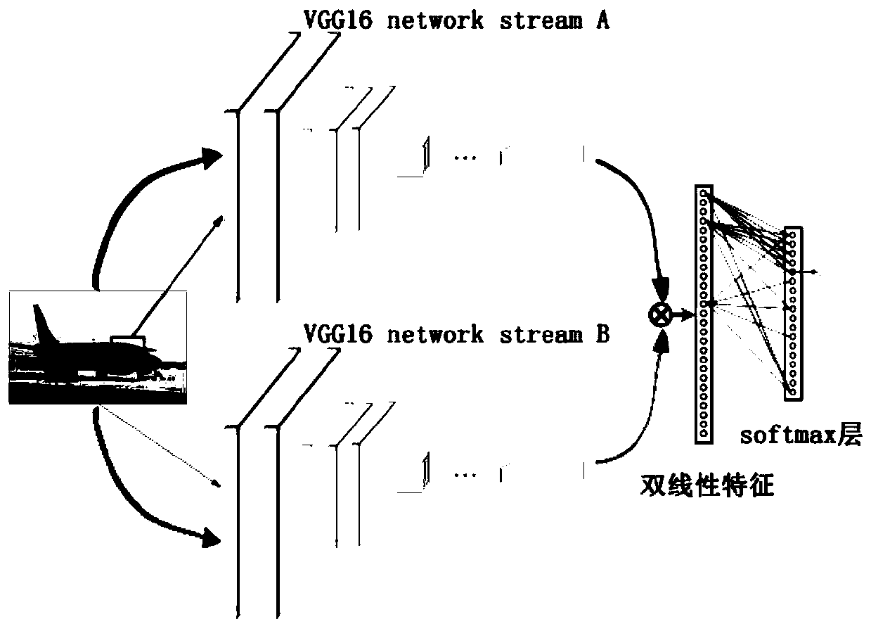 Fine-grained image classification method based on sparse bilinear convolutional neural network