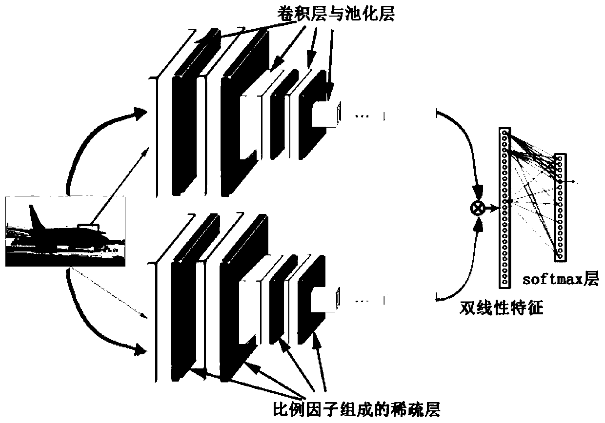 Fine-grained image classification method based on sparse bilinear convolutional neural network