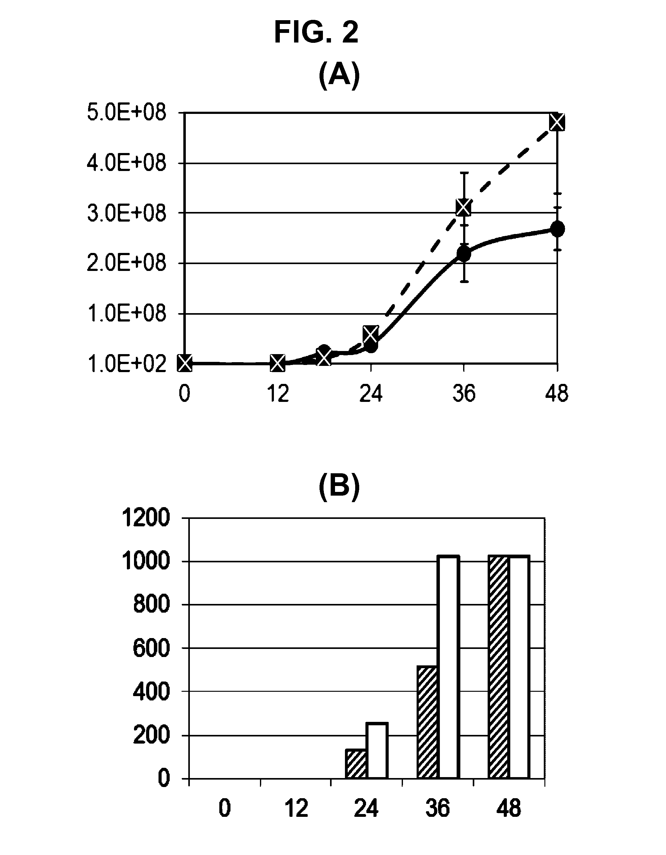 Influenza virus reassortment