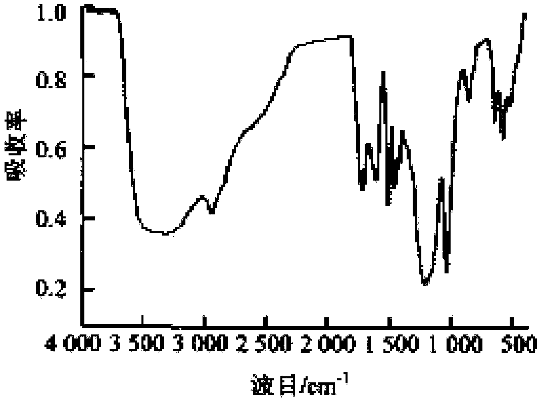 Composite microbial agent and application thereof to generation of fulvic acid by fermentation of brown coal with humic acid