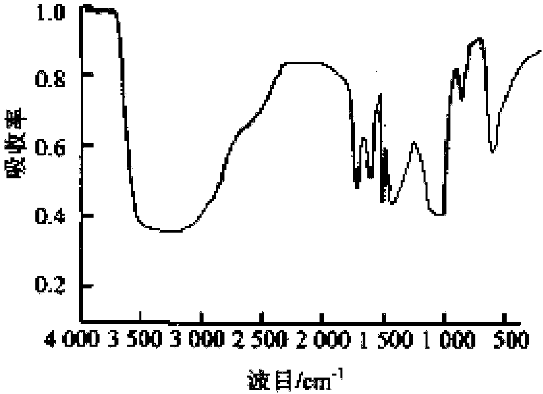 Composite microbial agent and application thereof to generation of fulvic acid by fermentation of brown coal with humic acid